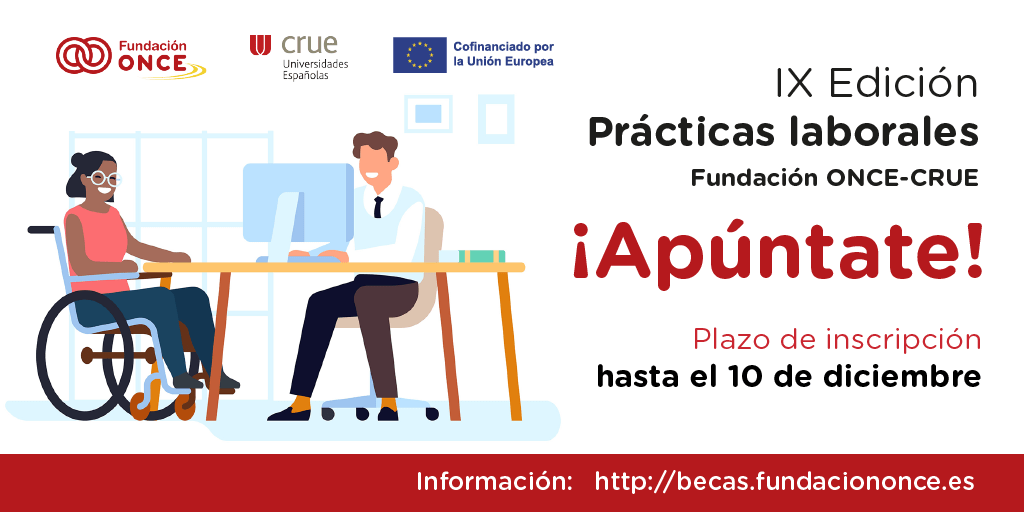 Las universidades españolas ofrecen  297 becas para personas con discapacidad